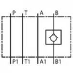 NG10 Check valve in B